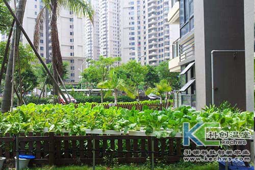 無土栽培，無土栽培技術(shù)，無土栽培設(shè)備