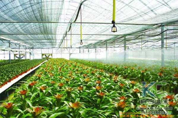 無土栽培，無土栽培技術，無土栽培設備