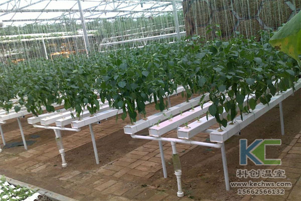 無土栽培，無土栽培技術，無土栽培設備