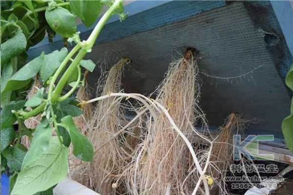 無土栽培，無土栽培技術，無土栽培設備