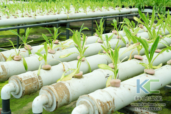 無土栽培，無土栽培技術，無土栽培設備