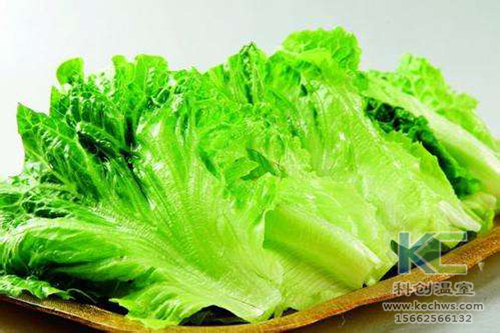 無土栽培，無土栽培技術(shù)，無土栽培設(shè)備